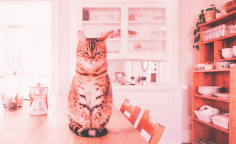 Deine Wohnung erinnert an den Ex? | selfmade Liebe by Kristin Agness